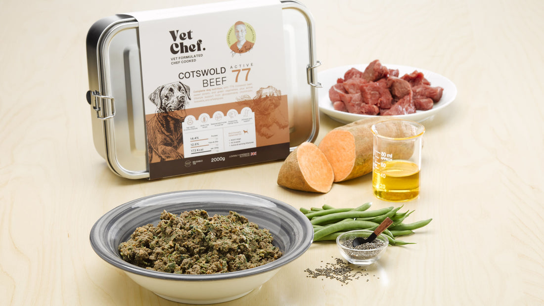Choosing the right VetChef recipe for your dog